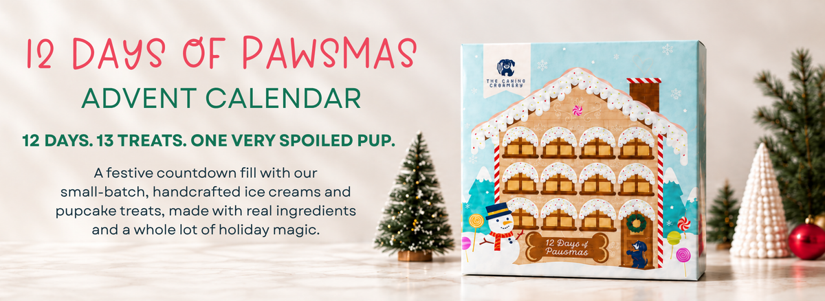 12 Days of Pawsmas Advent Calendar (PREORDER)